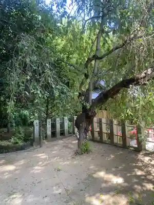 小川諏訪神社(福島県)