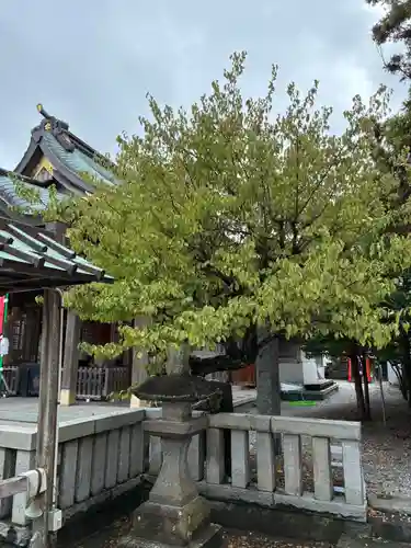 久里浜天神社(神奈川県)