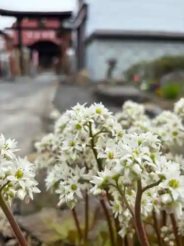 大鏑神社(福島県)