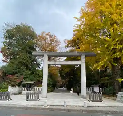阿佐ヶ谷神明宮(東京都)