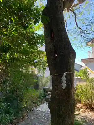 玉三稲荷神社(三重県)