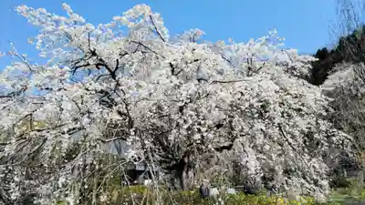法善寺(埼玉県)