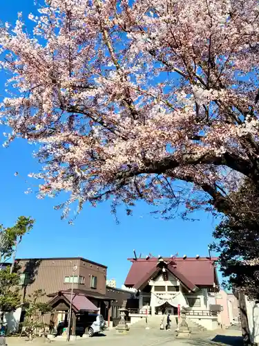 苗穂神社(北海道)
