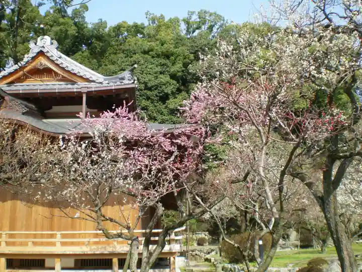 太宰府天満宮の自然