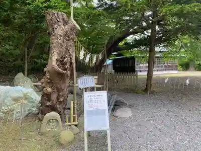 千歳神社(北海道)