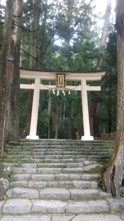飛瀧神社(熊野那智大社別宮)の鳥居