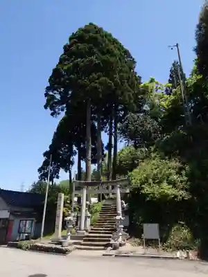 瀧浪神社の鳥居