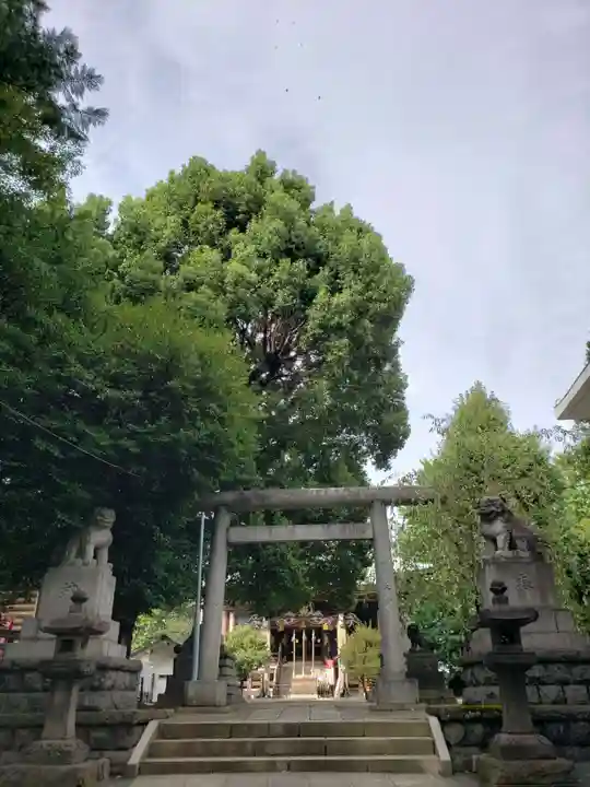 諏訪神社の鳥居