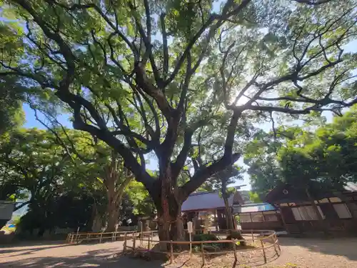伊曽乃神社(愛媛県)