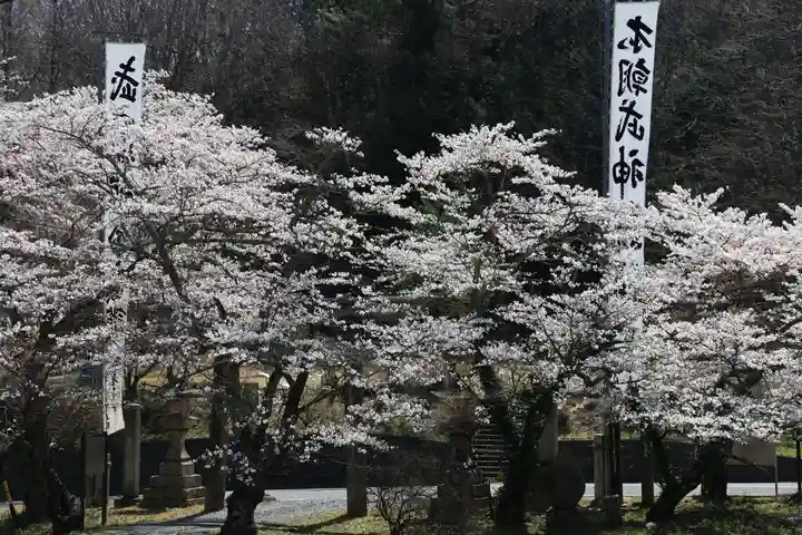 鹿島大神宮のお祭り