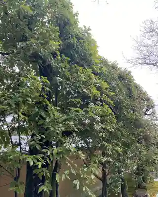 大光院(京都府)