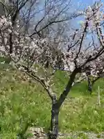 虻田神社の自然