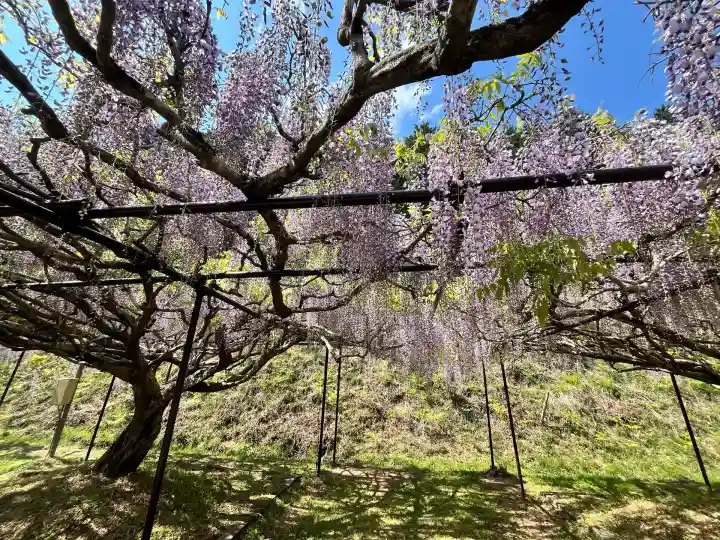 天台宗 五大山 白毫寺(兵庫県)