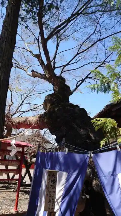 生島足島神社(長野県)