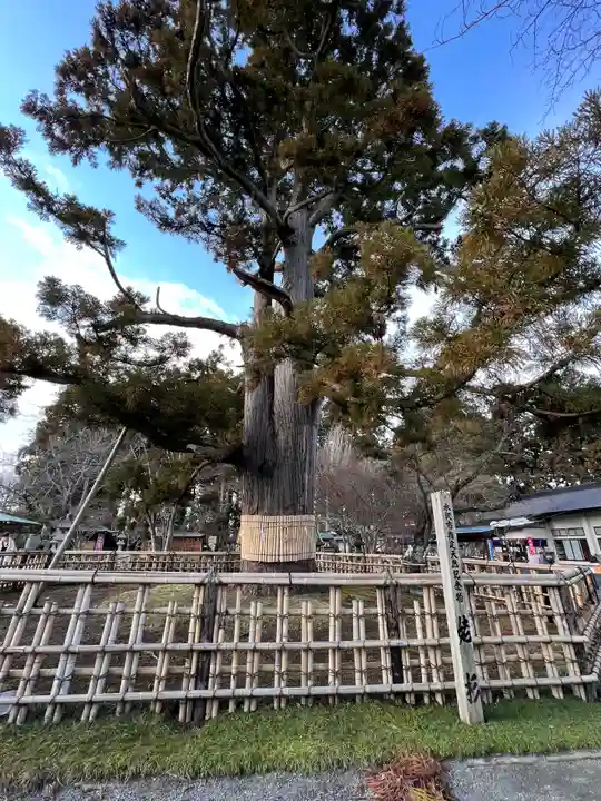 日高神社(岩手県)