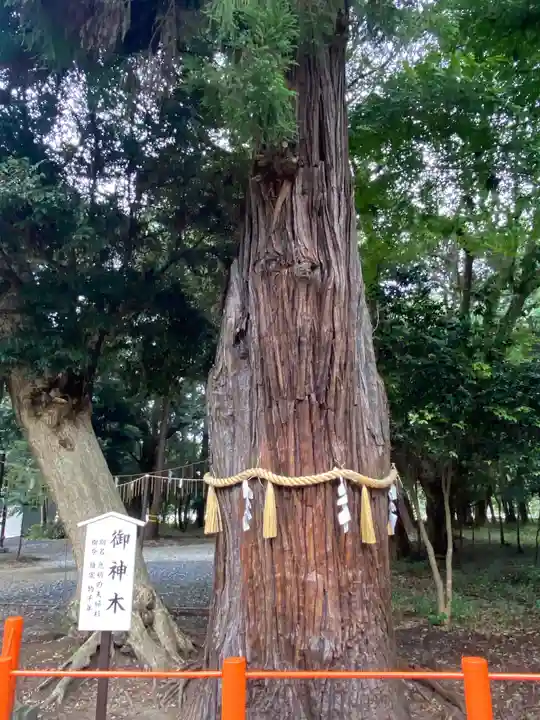 息栖神社のその他建物