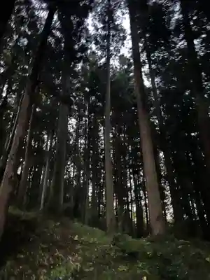 大宮温泉神社(栃木県)