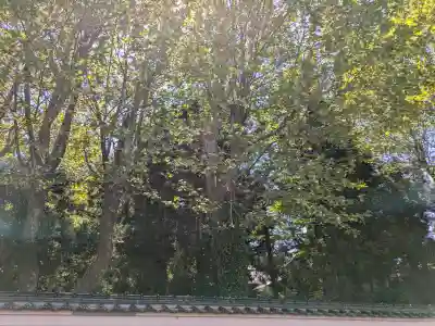 亀田八幡宮の{uncategorized: "未分類", other: "その他", undefined: "問題あり", building: "その他建物", grave: "お墓", sacred_gate: "鳥居", guardian: "狛犬", statue: "像", buddha: "仏像", history: "歴史", nature: "自然", garden: "庭園", animal: "動物", pagoda: "塔", temizu: "手水舎", mountain_gate: "山門・神門", sanctuary: "本殿・本堂", subordinate: "末社・摂社", art: "芸術", scenery: "景色", jizo: "地蔵", ema: "絵馬", goshuin: "御朱印", omikuji: "おみくじ", items: "授与品その他", amulet: "お守り", goshuincho: "御朱印帳", eats: "食事", festival: "お祭り", votive_dance: "神楽", shichigosan: "七五三参", wedding: "結婚式", experience: "体験その他", initially: "初詣", around: "周辺", anti_infection: "感染症対策"}