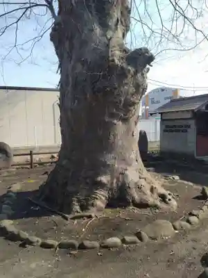 神明神社（錦町）(山形県)