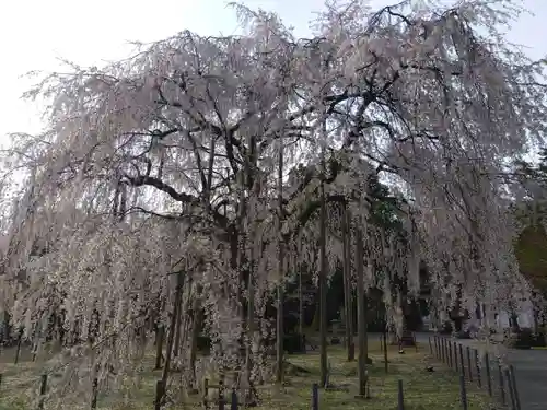 足羽神社(福井県)