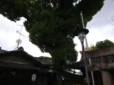中井神社のその他建物