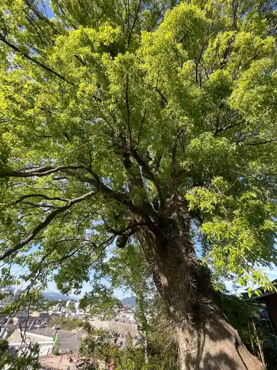 正覚院(広島県)