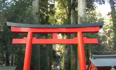箱根神社の鳥居