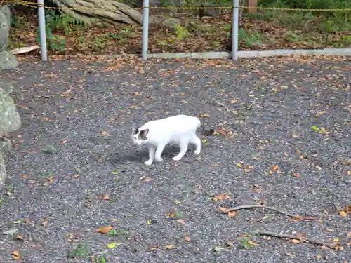 金守神社(静岡県)