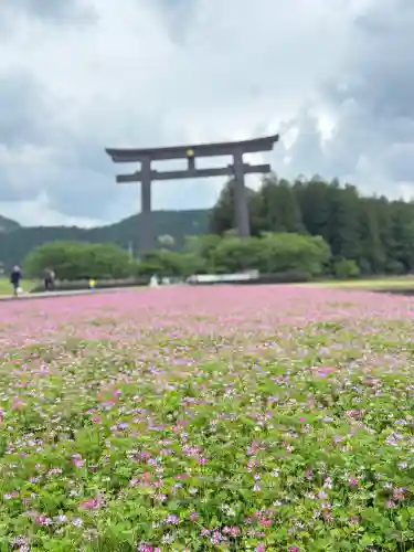 大斎原（熊野本宮大社旧社地）(和歌山県)