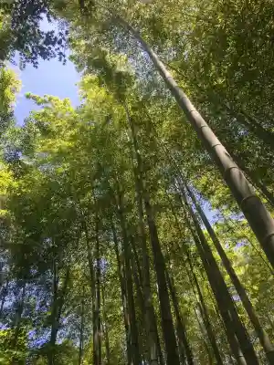 圓光寺(京都府)