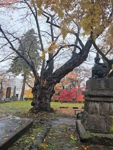 弘前八坂神社(青森県)