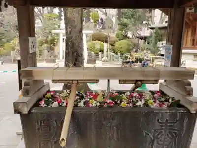 鳩森八幡神社の手水舎