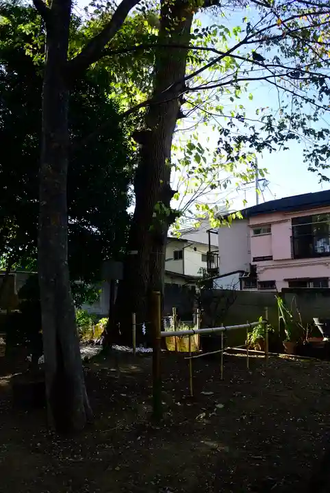 戸越八幡神社の自然