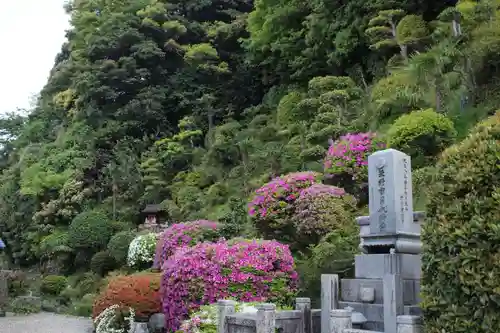 金前寺のお墓