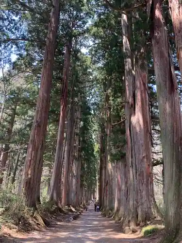 戸隠神社奥社の自然