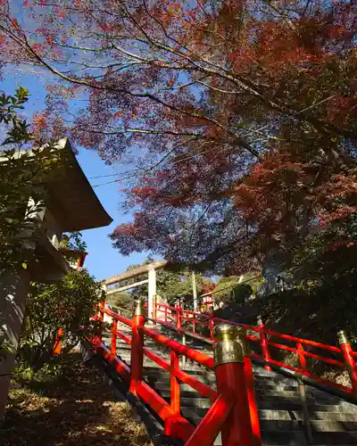 足利織姫神社(栃木県)