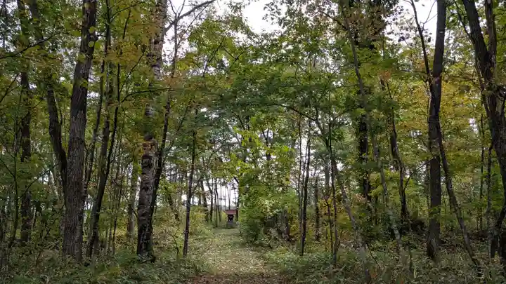 元札内神社の自然
