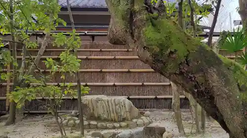 宇治上神社(京都府)