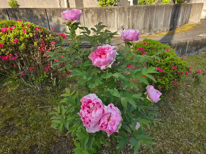 地蔵院 (室生寺塔頭)(奈良県)