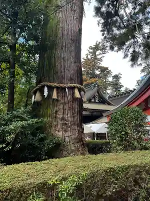 香取神宮(千葉県)