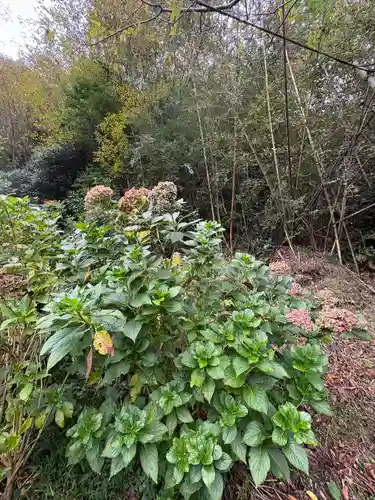賢見神社(徳島県)
