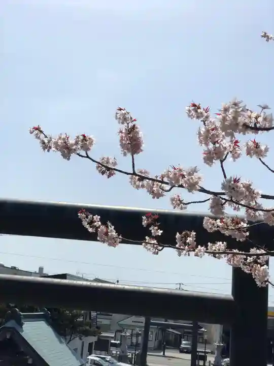 浦河神社の自然