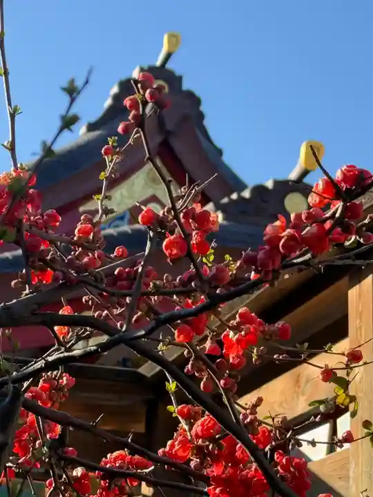 品川神社(東京都)