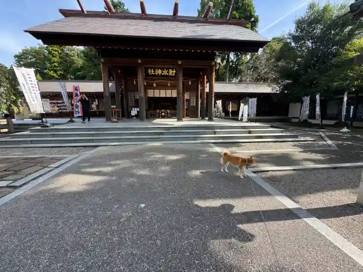 射水神社の{uncategorized: "未分類", other: "その他", undefined: "問題あり", building: "その他建物", grave: "お墓", sacred_gate: "鳥居", guardian: "狛犬", statue: "像", buddha: "仏像", history: "歴史", nature: "自然", garden: "庭園", animal: "動物", pagoda: "塔", temizu: "手水舎", mountain_gate: "山門・神門", sanctuary: "本殿・本堂", subordinate: "末社・摂社", art: "芸術", scenery: "景色", jizo: "地蔵", ema: "絵馬", goshuin: "御朱印", omikuji: "おみくじ", items: "授与品その他", amulet: "お守り", goshuincho: "御朱印帳", eats: "食事", festival: "お祭り", votive_dance: "神楽", shichigosan: "七五三参", wedding: "結婚式", experience: "体験その他", initially: "初詣", around: "周辺", anti_infection: "感染症対策"}