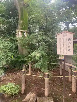 川越八幡宮(埼玉県)