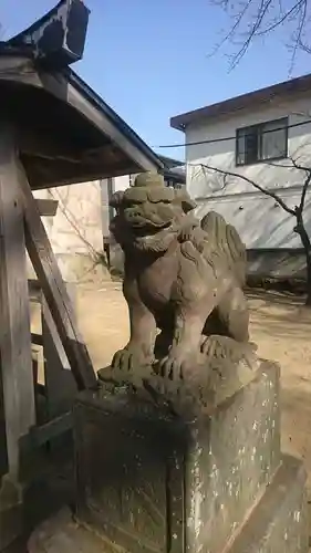 上小岩天祖神社の狛犬