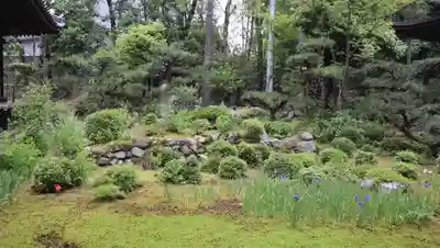 慈眼院(大阪府)