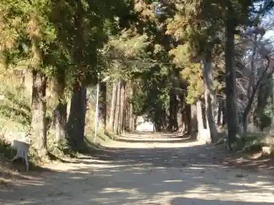 千代ケ岡八幡宮のその他建物