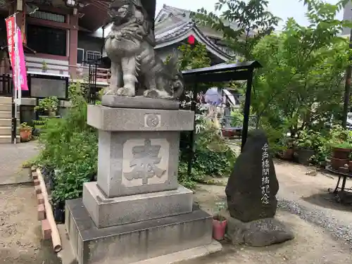 今戸神社の狛犬