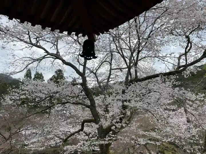 醍醐寺(京都府)